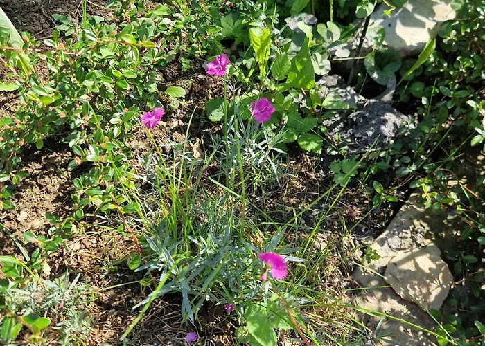 בית נופש Zeleni Raj Paradise House Zuzemberk